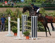 CURCIO CARRY MONEY CampITA2013- S5 0355 : CARRY MONEY, CURCIO SERENA, Campionati Italiani 2013, Cattolica, Horse Riviera Resort, foto di Stefano Secchi ©